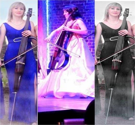 cello artists noida