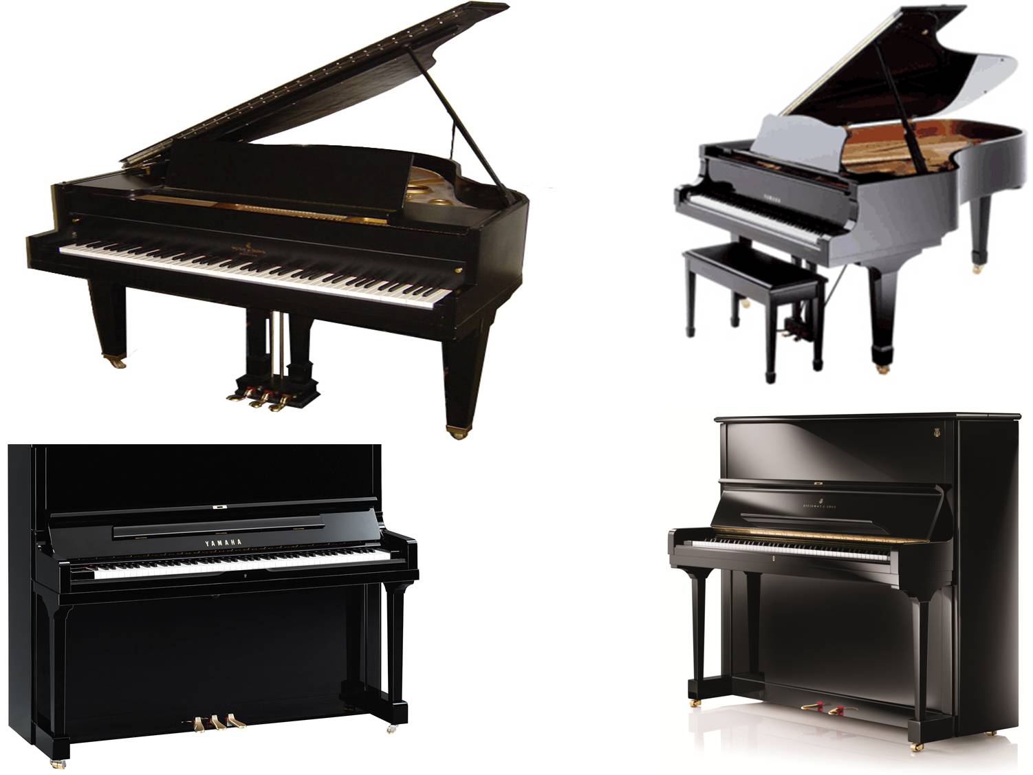 Grand Piano on rent in Noida